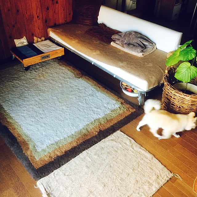 88さんの実例写真