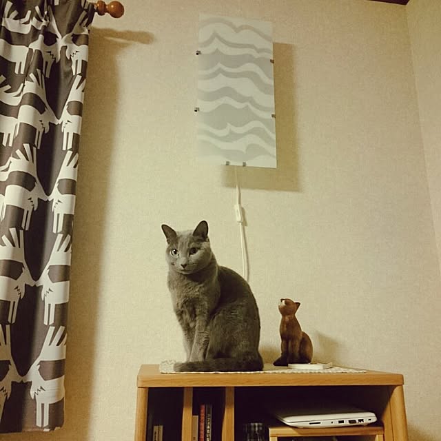 kosame918さんの実例写真