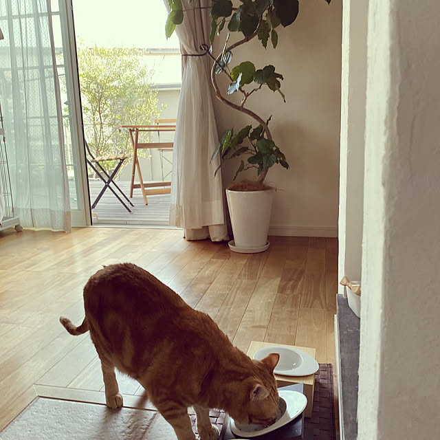 rm048416さんの実例写真