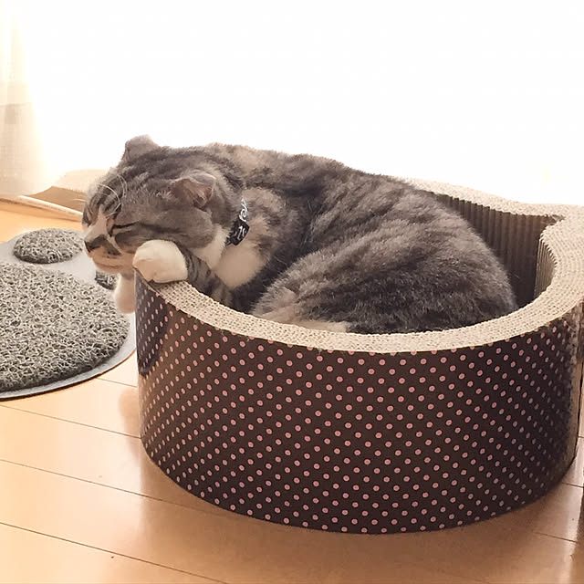 acoさんの実例写真