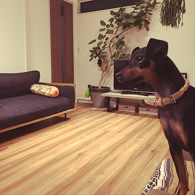 lemonさんの実例写真