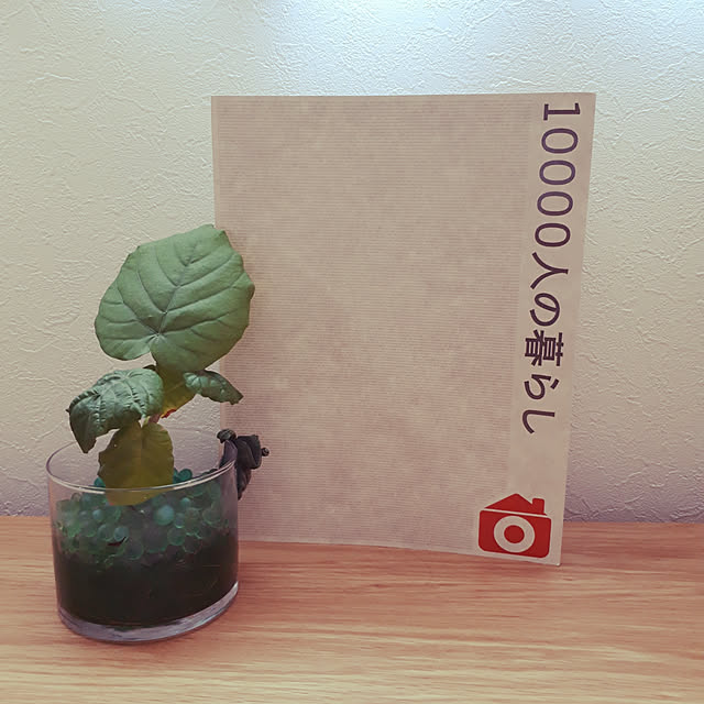 pumpkin11さんの実例写真
