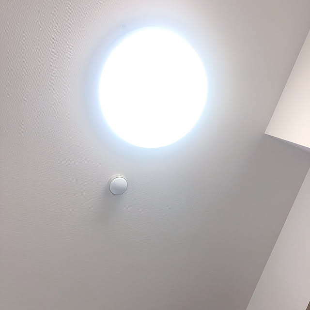 Liliさんの部屋