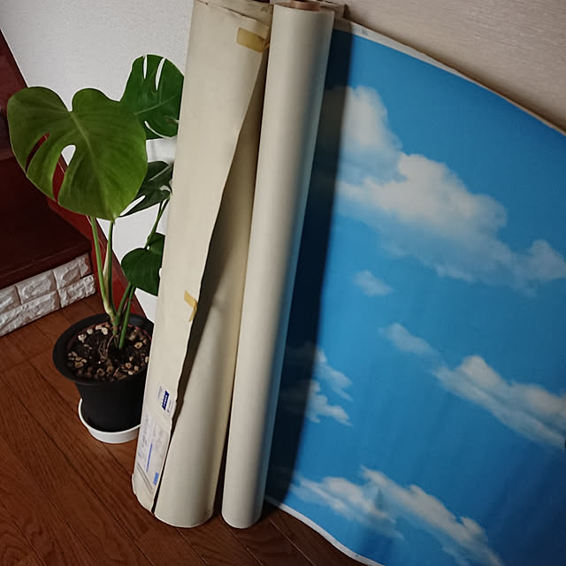 berariさんの実例写真