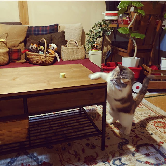fukuさんの実例写真