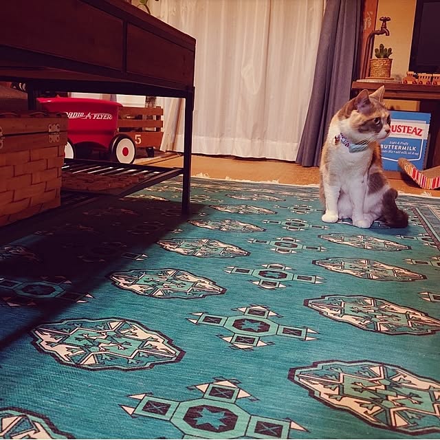 fukuさんの部屋