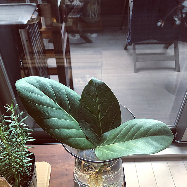 mofzeniさんの実例写真