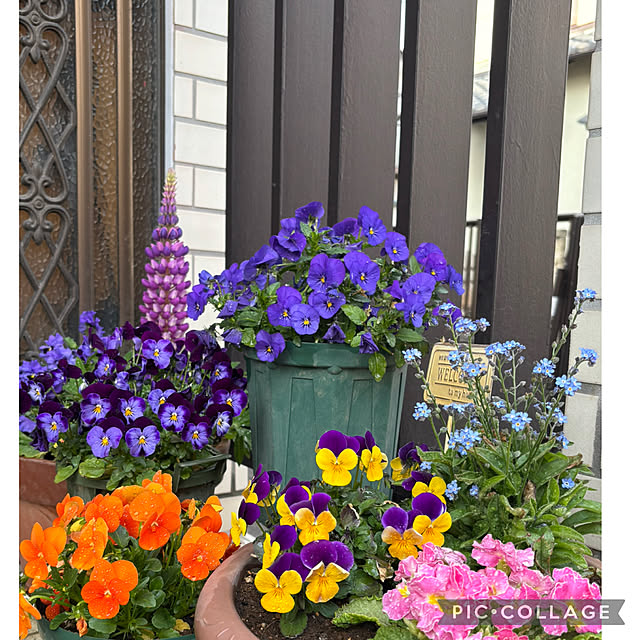 Smilkazuさんの部屋