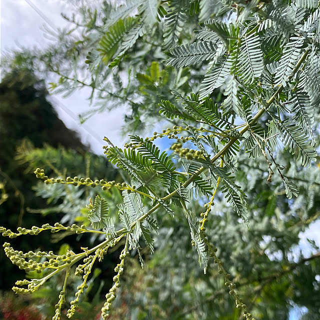 ALICEさんの実例写真