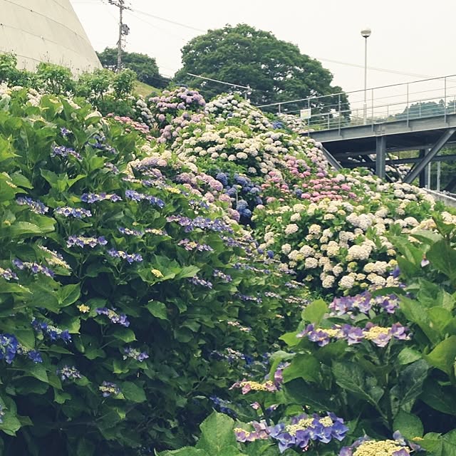 utatanさんの実例写真