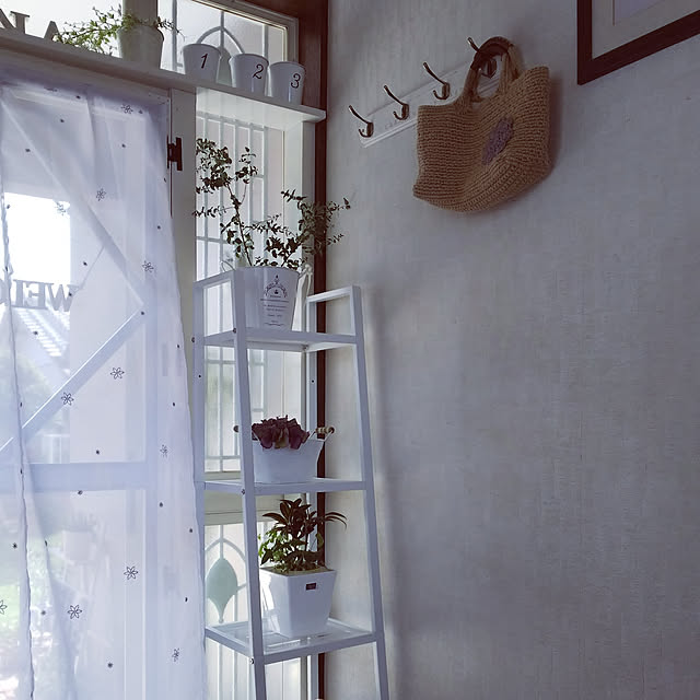 pero0516さんの実例写真