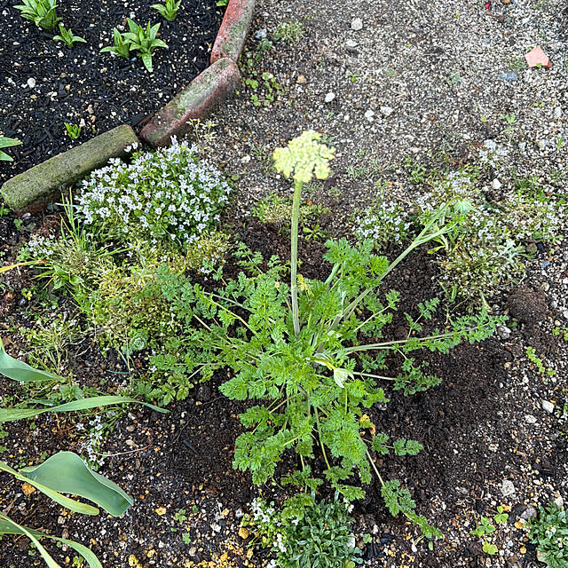 ritsukoさんの部屋