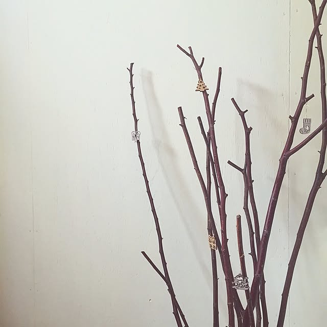 mohayaeteさんの実例写真