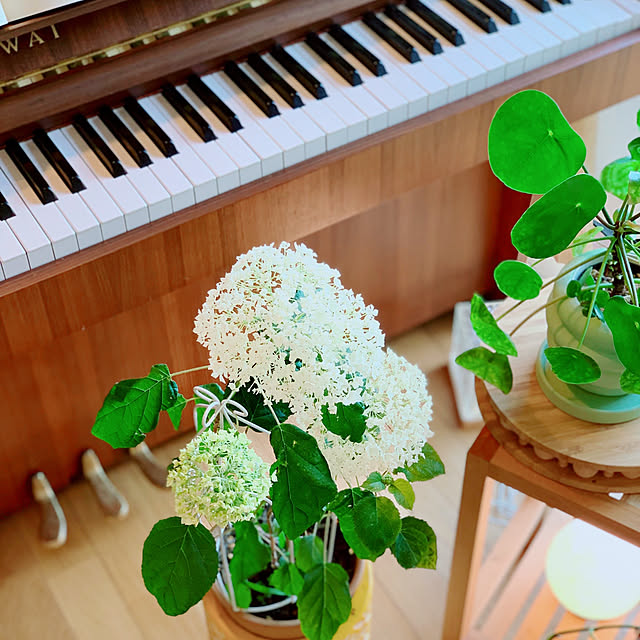 moonさんの部屋