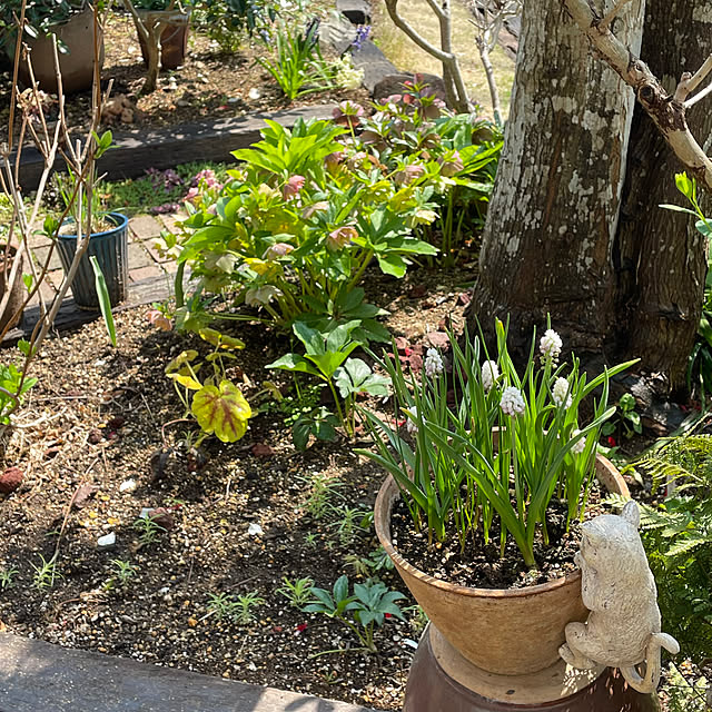 nobikoさんの部屋