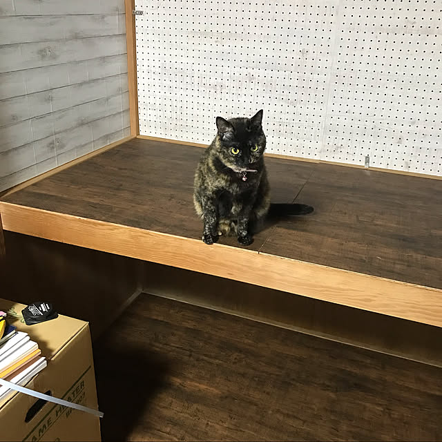 gggさんの実例写真