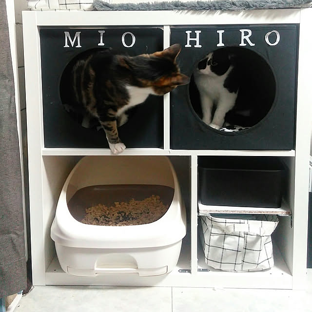 yuuさんの実例写真