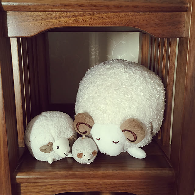 151さんの実例写真