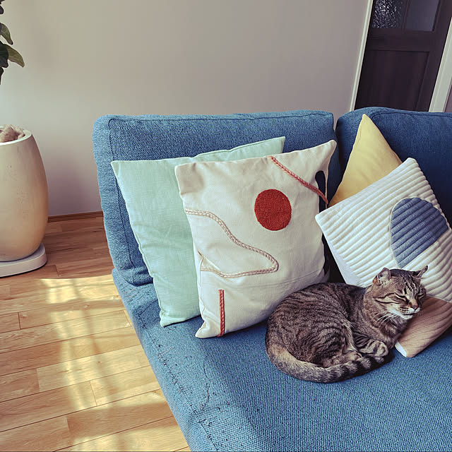 tomo_ppgさんの実例写真