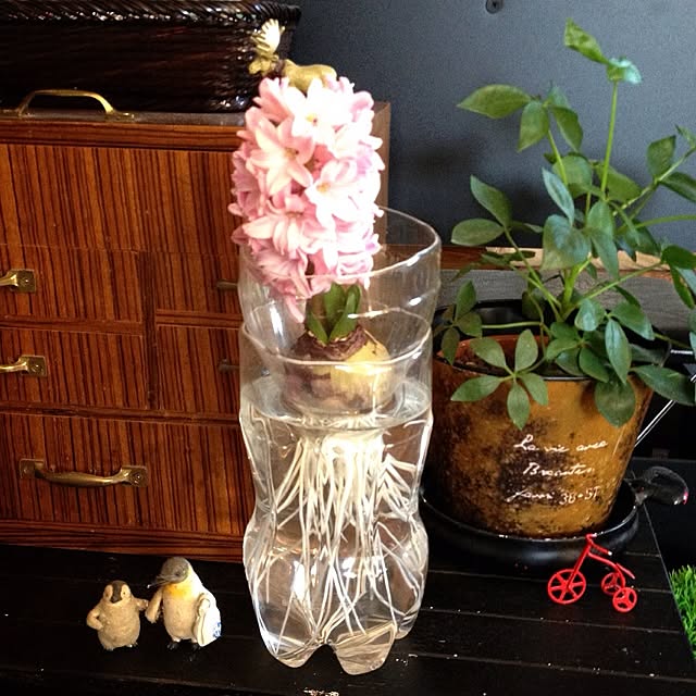 botanさんの実例写真