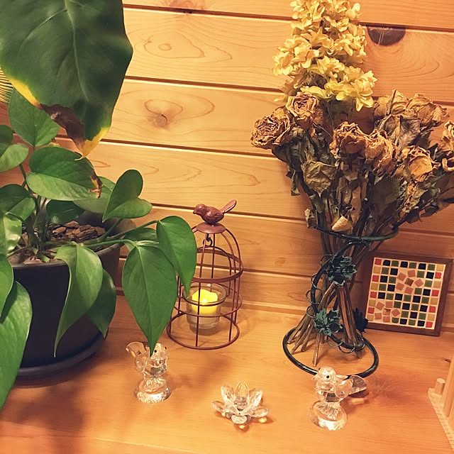 pu-toraさんの実例写真