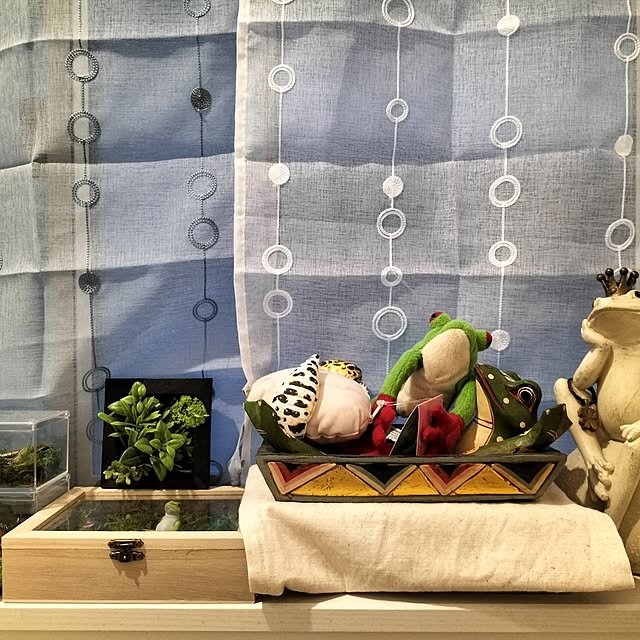 tanpopoさんの部屋