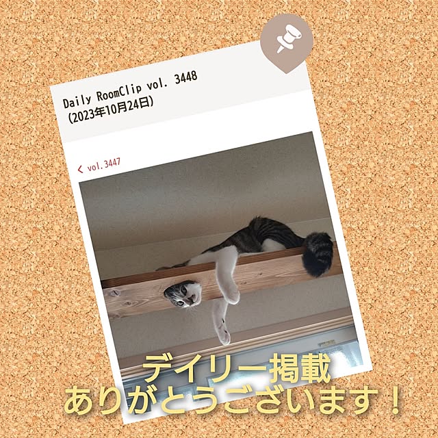mikisunさんの実例写真