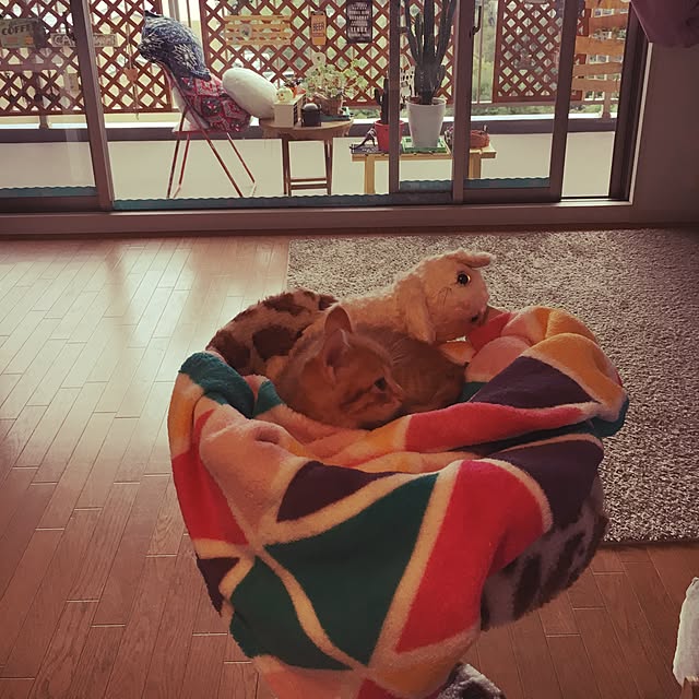 miyamiさんの実例写真