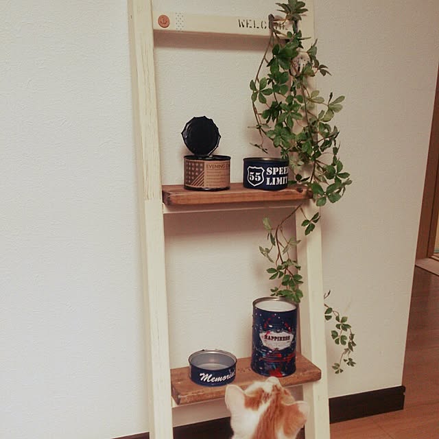 minkokoさんの実例写真