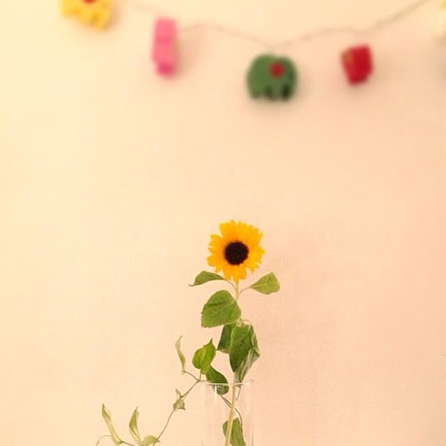 gofly302さんの実例写真