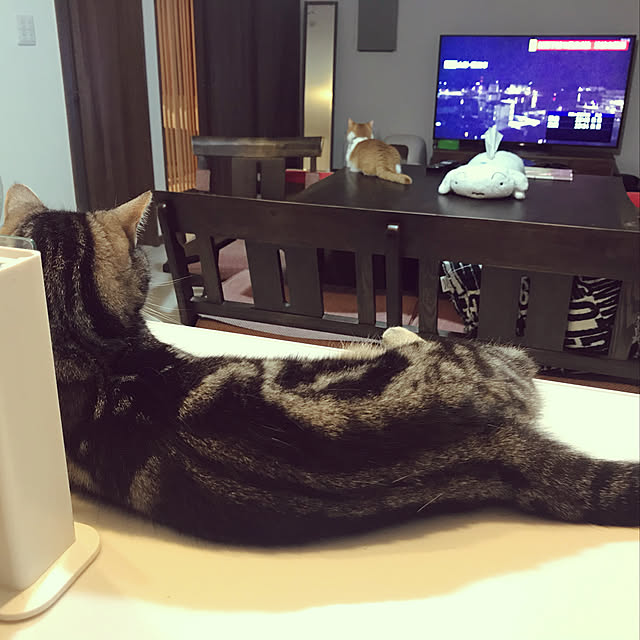 KotarouKunさんの実例写真