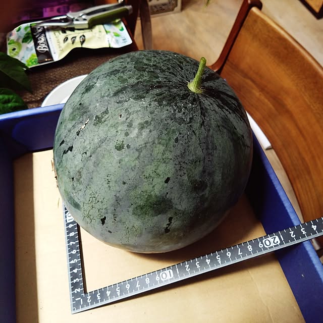 NAOKIさんの実例写真