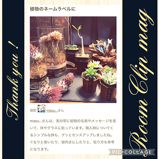 masu...さんの実例写真