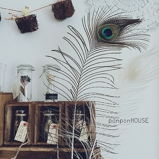 ponponHOUSEさんの実例写真