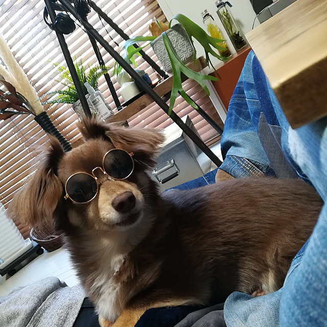 rikakoさんの実例写真