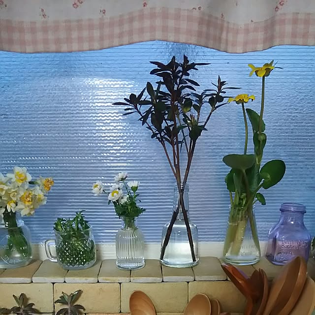 naopyiさんの実例写真