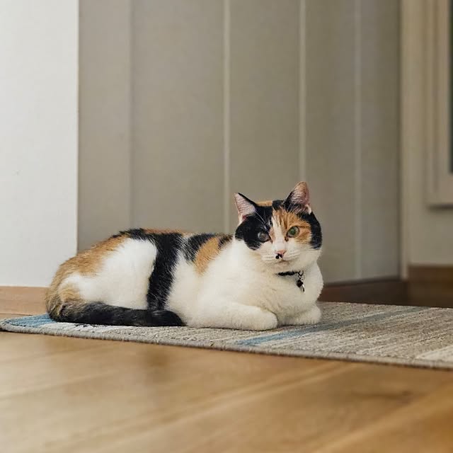 koyurizuさんの部屋