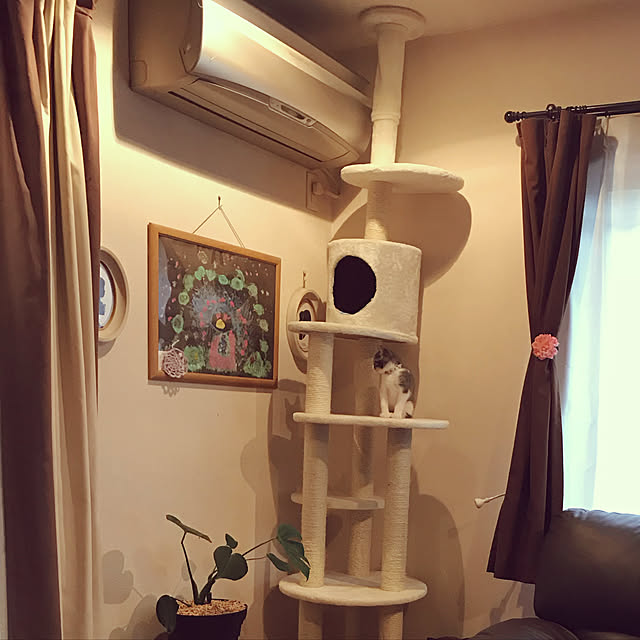 asaさんの実例写真