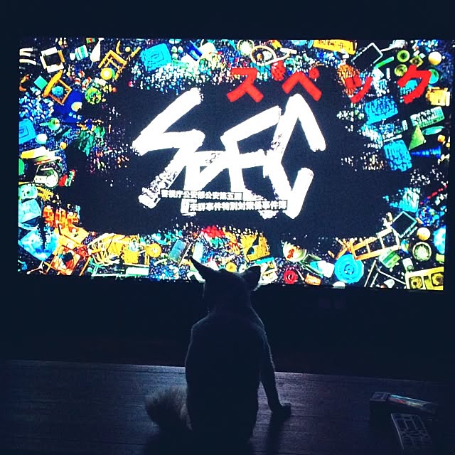 Kozuballeさんの実例写真