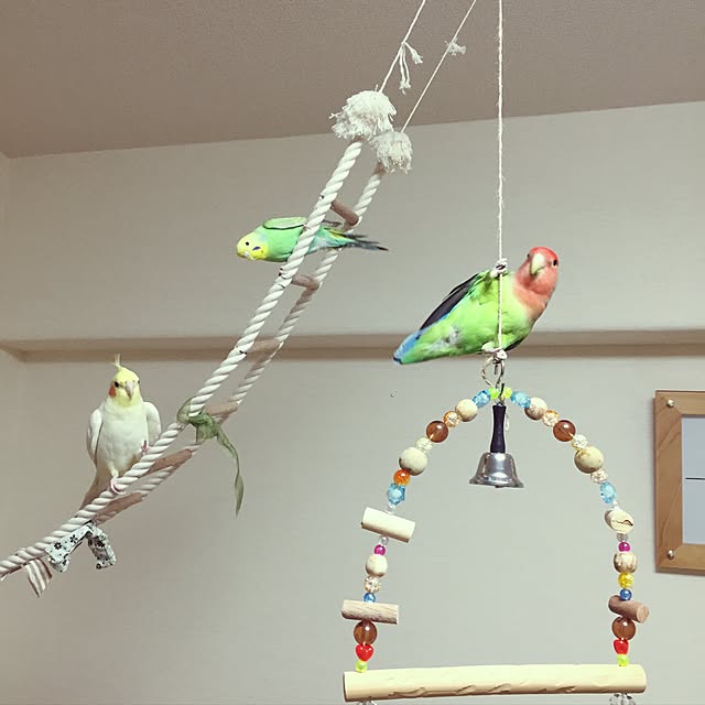toratanさんの実例写真