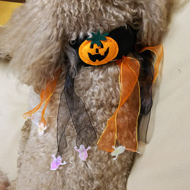 yumirinさんの実例写真