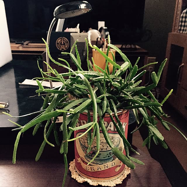 rintaroさんの実例写真