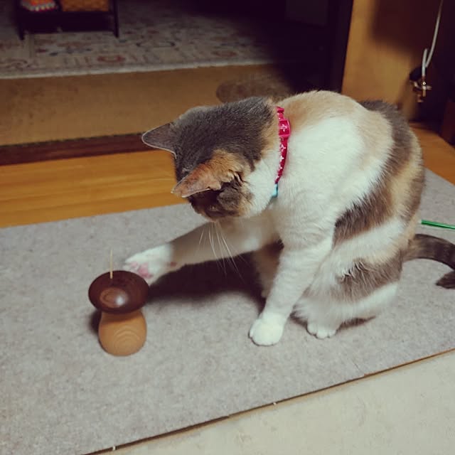 fukuさんの実例写真