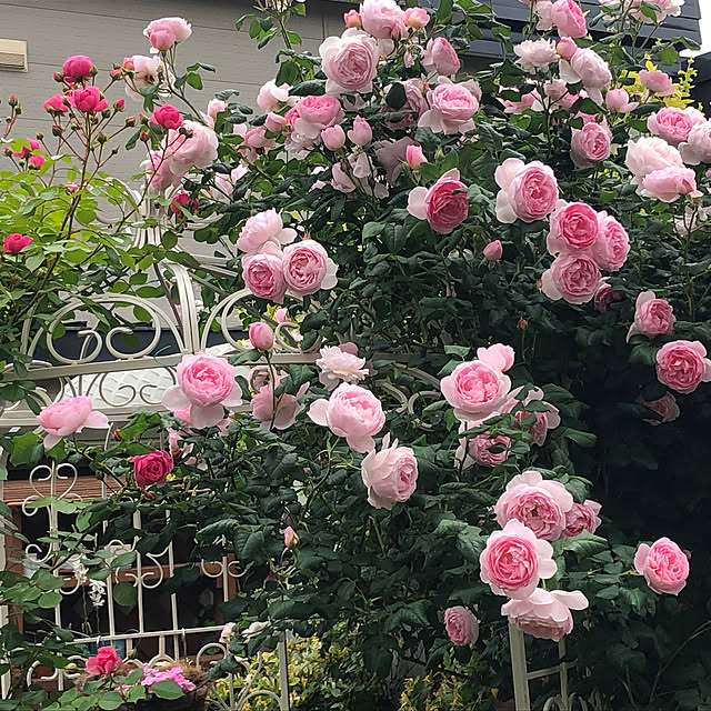 Yumikoさんの部屋