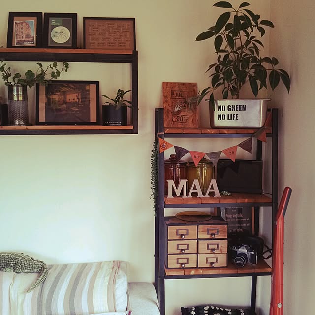DailyRoomclip