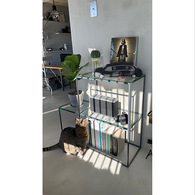 chihiroさんの実例写真
