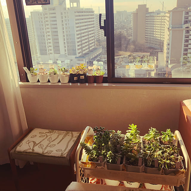 uchidaizuさんの実例写真