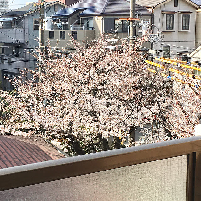 sachiyo0915さんの実例写真