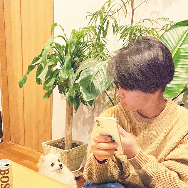 1546さんの実例写真