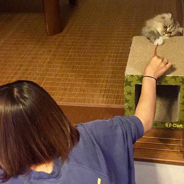 butachanさんの実例写真